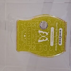 Casting Spells Scentsy Bar - New